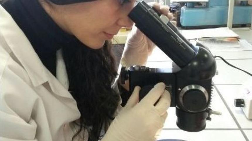 Sinop &Uuml;niversitesi Polonya&rsquo;da