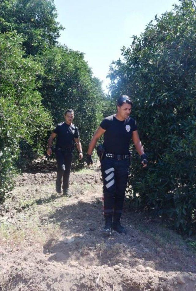 Ağaca Asılı Ip Fotoğrafı Gönderip Helallik Isteyince, Polis Harekete Geçti