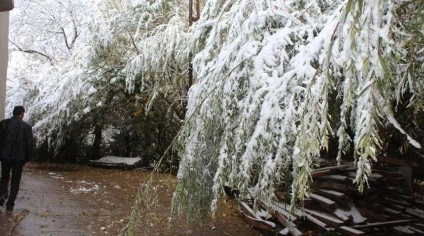 Sebze Ve Meyveler Kar Altında Kaldı