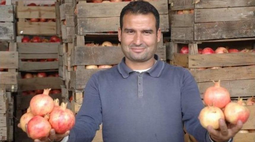 Nar Rekoltesindeki D&uuml;ş&uuml;ş Fiyatlara Yansıdı