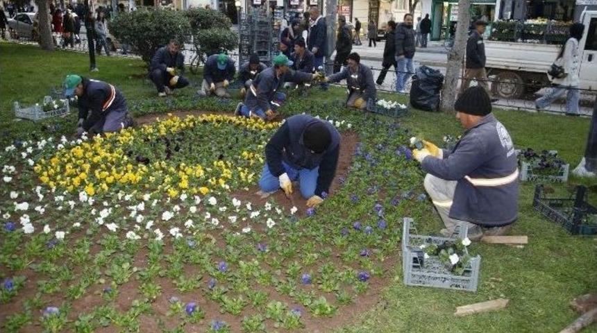 Hamamyolu&rsquo;na 10 Bin &Ccedil;i&ccedil;ek