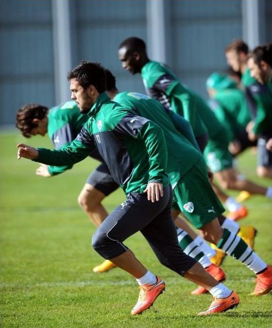 Timsah Kupa Mesaisine Başladı