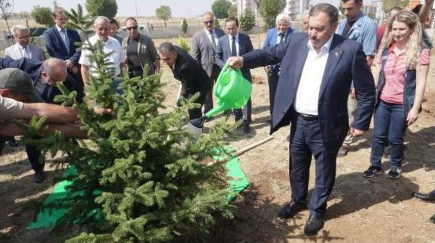 Eroğlu: Bu Yıl 4 Milyar Fidanı Dikerek Rekora Imza Atacağız