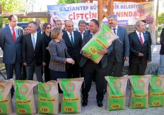 Gaziantep Büyükşehir Belediyesi Arabanlı Çiftçilere Sertifikalı Tohum Dağıttı