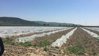 Tarımsal Sulama Tesisleri Bakım Onarımdan Geçti