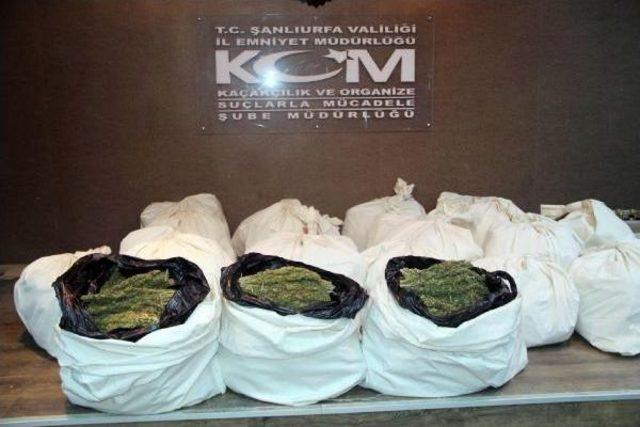 Kamyon Kasasından 228 Kilo Çıktı