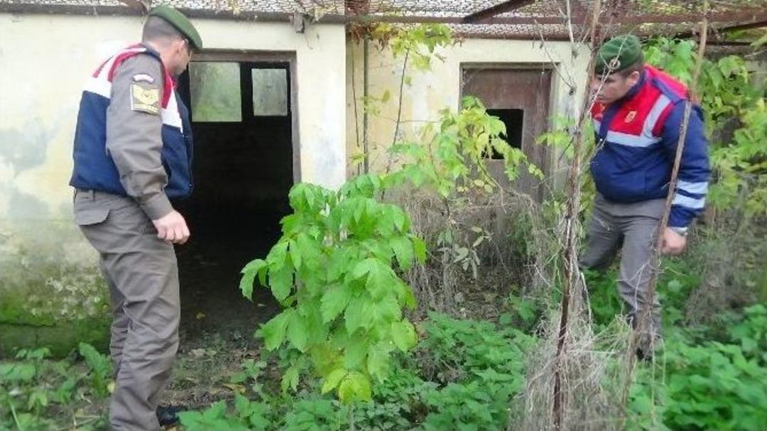 Yaşlı Adam 6 G&uuml;nd&uuml;r Kayıp