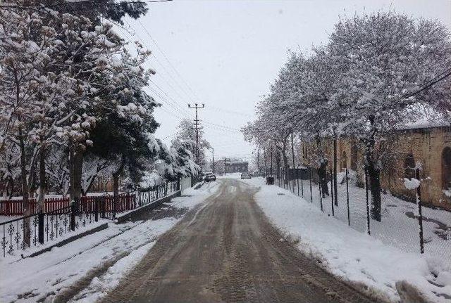 Gercüş’e Yılın İlk Karı Yağdı