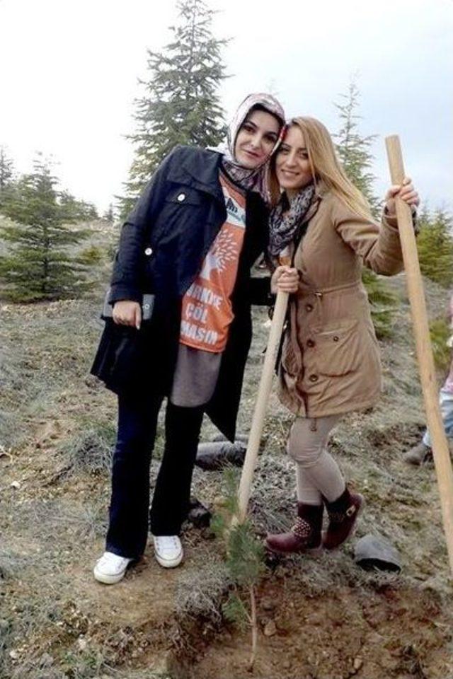 Kmü Öğrencileri “bir Kan Bir Fidan” Projesi Kapsamında Fidan Dikti 1