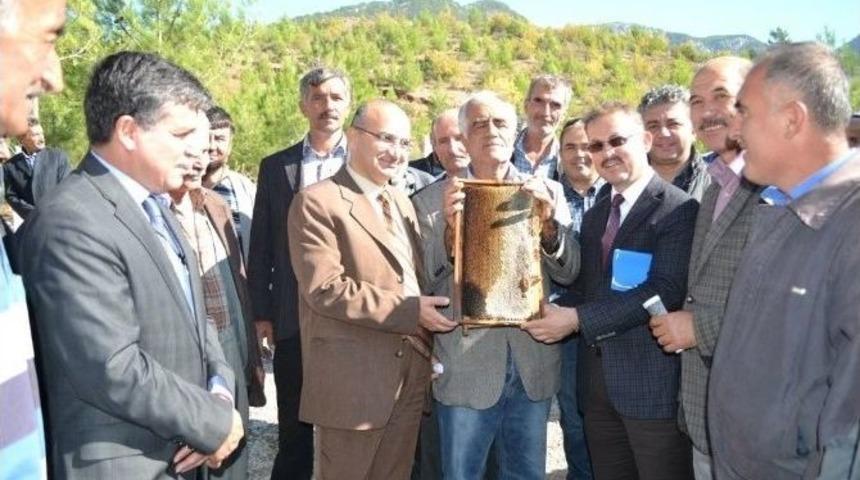 Kavaklı Bal Ormanının A&ccedil;ılışı Yapıldı
