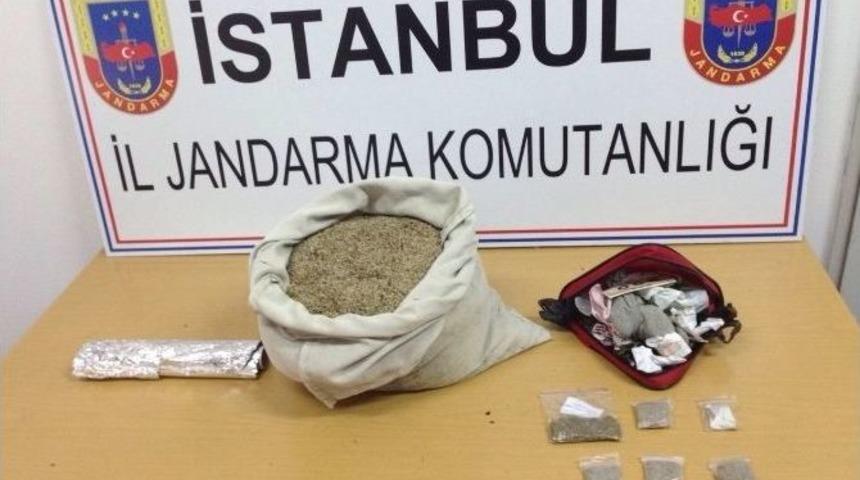 Jandarmanın Bonzai Operasyonu 10 Bin Genci Kurtardı