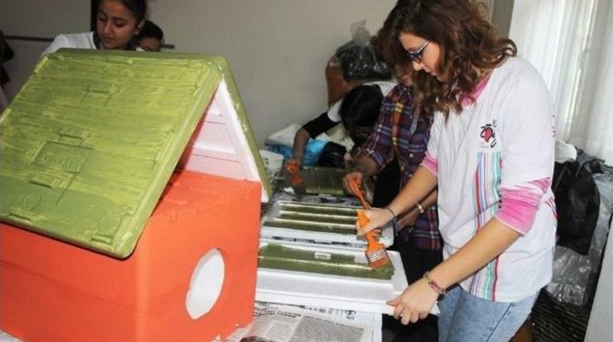 Sokak Hayvanları İ&ccedil;in Ev Yapıyorlar