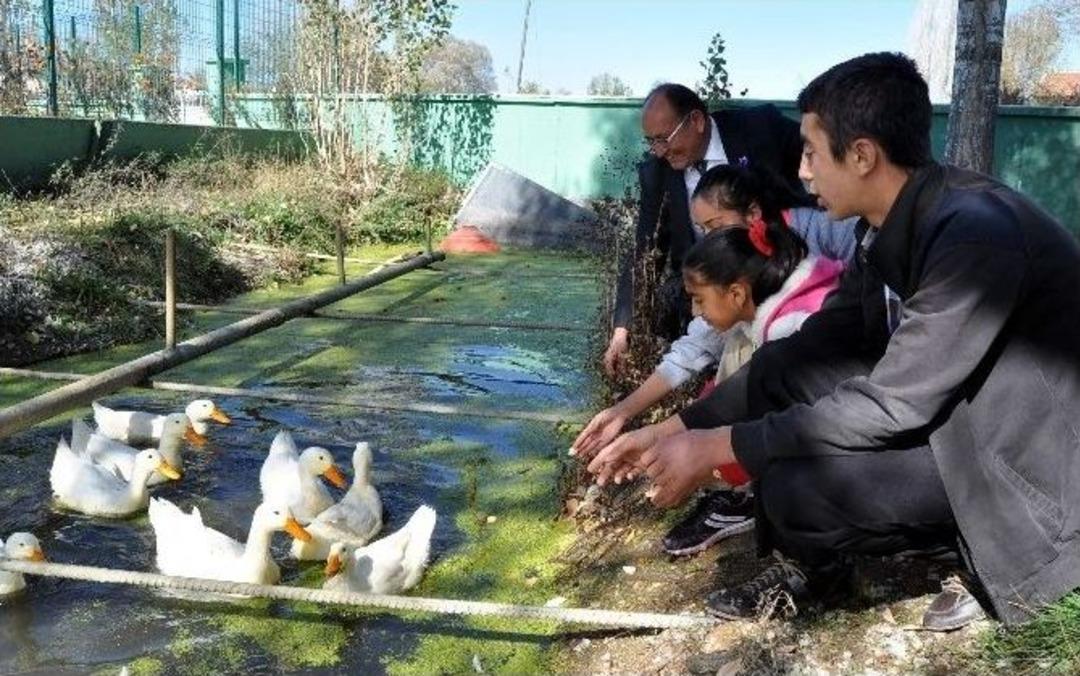 (&ouml;zel Haber) - Bu Okulda Hayvan Sevgisi Şiddeti Yendi