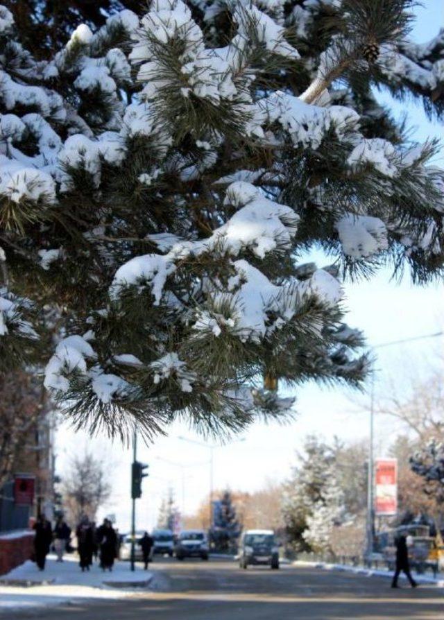 Erzurum'da Kar Yağışı