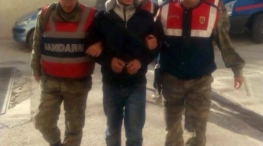 Hırsızlar Jandarma Tarafından Yakalandı