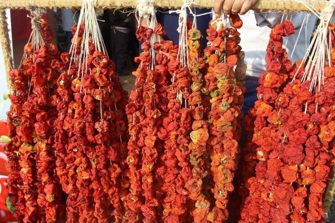 İsot Festivali Tarlada Hasat İle Başladı