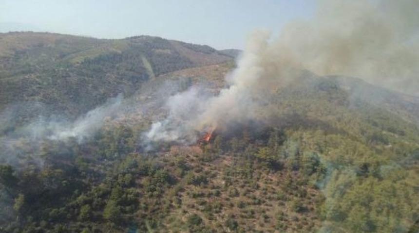Ormanlık Ve Makilik Alanda Ş&uuml;pheli Yangın