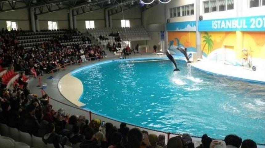 Yunuslar, G&uuml;ng&ouml;renli &Ccedil;ocuklar İ&ccedil;in G&ouml;steri Yaptı