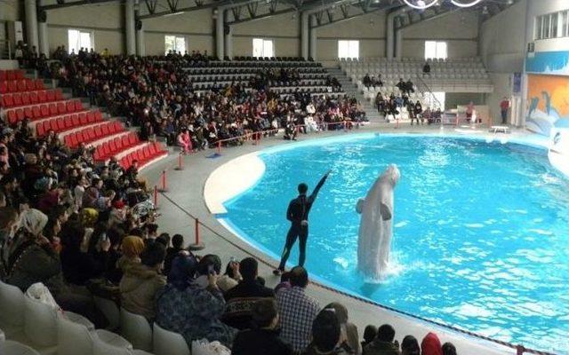 Yunuslar, Güngörenli Çocuklar İçin Gösteri Yaptı