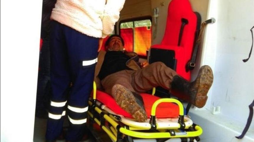 Domuz Saldırısına Uğrayan &Ccedil;oban Yaralandı