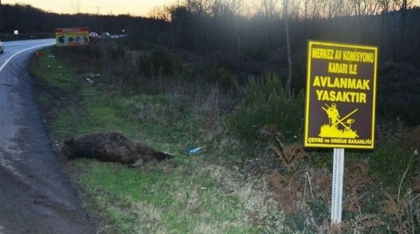 Kandıra Yolunda Büyük Tehlike