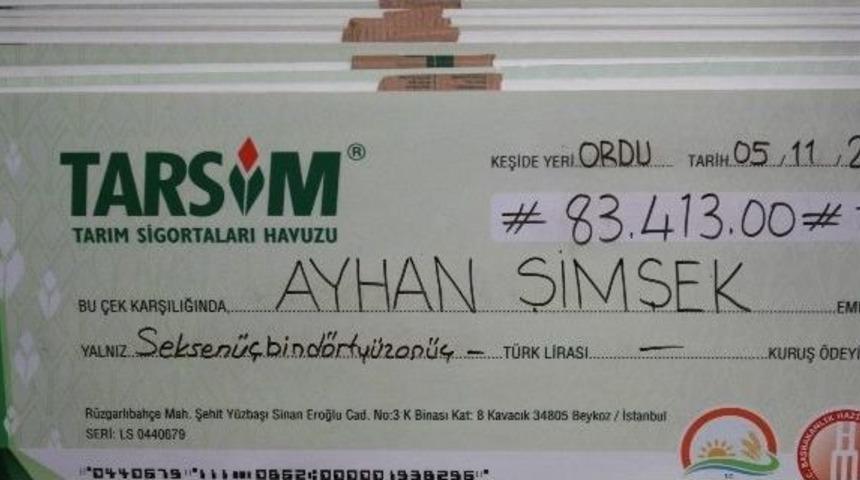 Tarsim Ordu&rsquo;da Hasar &Ouml;dedi