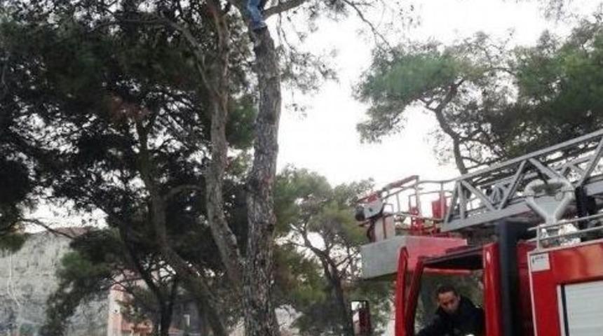 Futbolcu Ağa&ccedil;ta Mahsur Kaldı