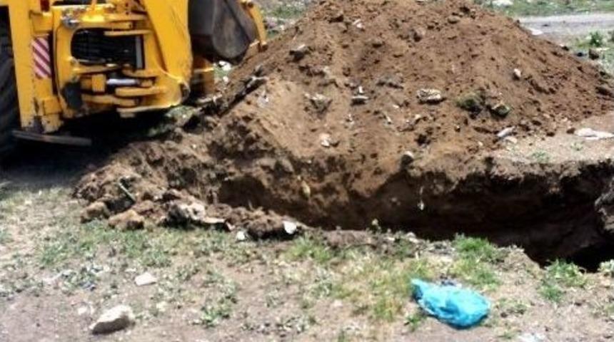 Gemerek&rsquo;te &Ccedil;i&ccedil;ek Hastalığından Telef Olan Hayvan Sayısı 75 Oldu