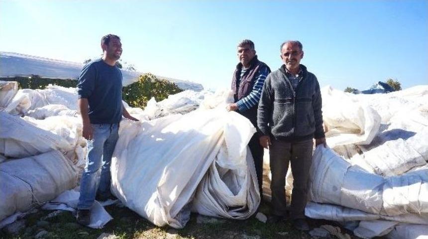 Sarıg&ouml;l&rsquo;de Hurda &Uuml;z&uuml;m &Ouml;rt&uuml;s&uuml; Alımına Başlandı