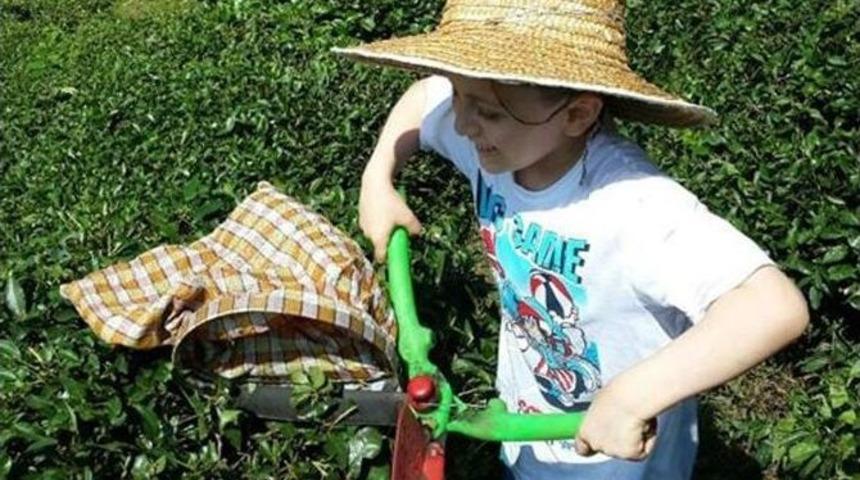 Balkondan D&uuml;şen Bedirhan Kurtarılamadı