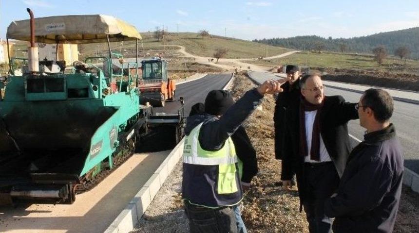 G&uuml;rsu Toki&rsquo;ye Yeni Pazar Yeri