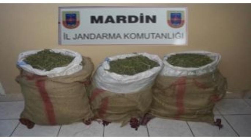 Mardin&rsquo;de Esrar Operasyonu