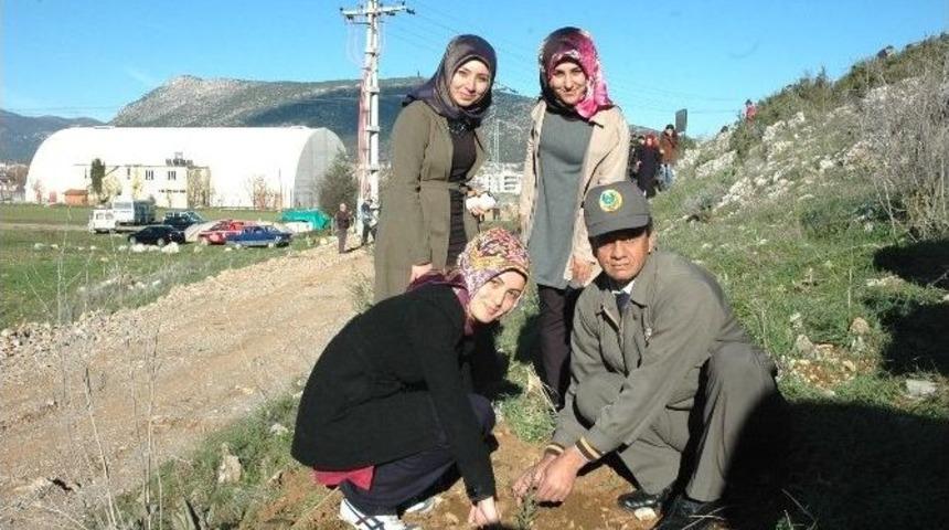 &Uuml;niversite &Ouml;ğrencileri "soma Hatıra Ormanı"na Fidan Dikti