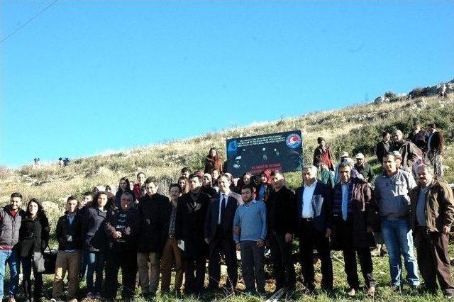 &Uuml;niversite &Ouml;ğrencileri "soma Hatıra Ormanı"na Fidan Dikti 1