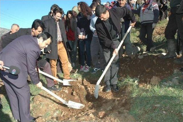 &Uuml;niversite &Ouml;ğrencileri "soma Hatıra Ormanı"na Fidan Dikti 2
