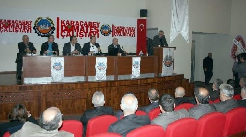 &Ccedil;ift&ccedil;i Ve Sanayici Domates &Ccedil;alıştayında Buluştu