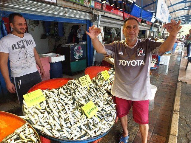 Balık Tezgahları Sardalye İle Doldu 1