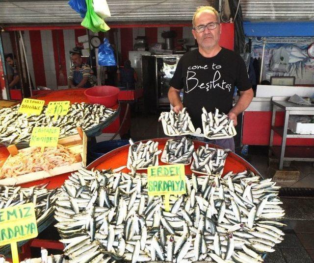 Balık Tezgahları Sardalye İle Doldu 2