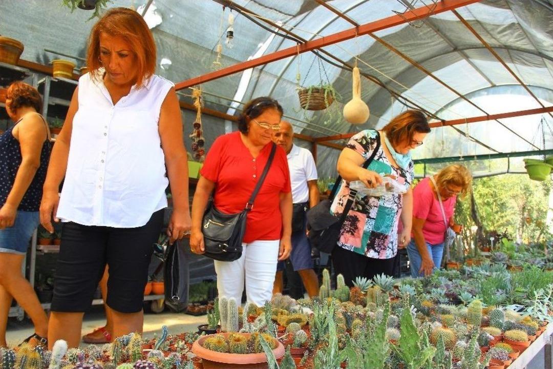 T&uuml;rkiye&rsquo;nin İlk Kakt&uuml;s Festivali