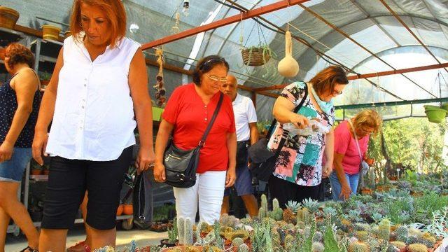 Türkiye’nin İlk Kaktüs Festivali