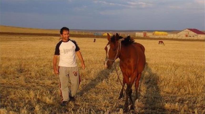 Yattara Adını Verdiği Taya G&ouml;z&uuml; Gibi Bakıyor