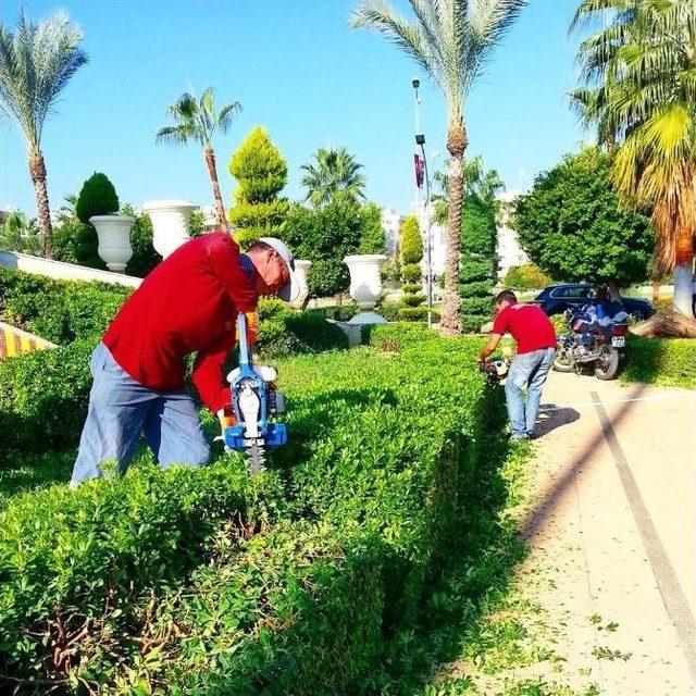 Mersin B&uuml;y&uuml;kşehir Belediyesi Festival Hazırlıklarına Başladı 1