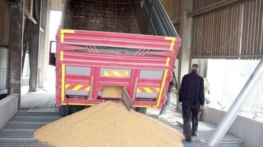 Tmo&rsquo;da Mısır Kurutma Tesisi Hizmete Başladı