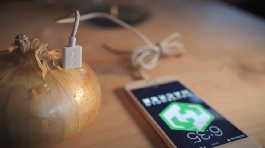 İnanılmaz! Soğan İle Telefonunuzu Şarj Edebilirsiniz!