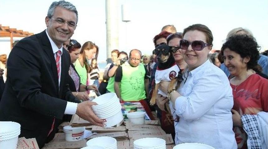 Can Dostlar Kışın G&uuml;vende