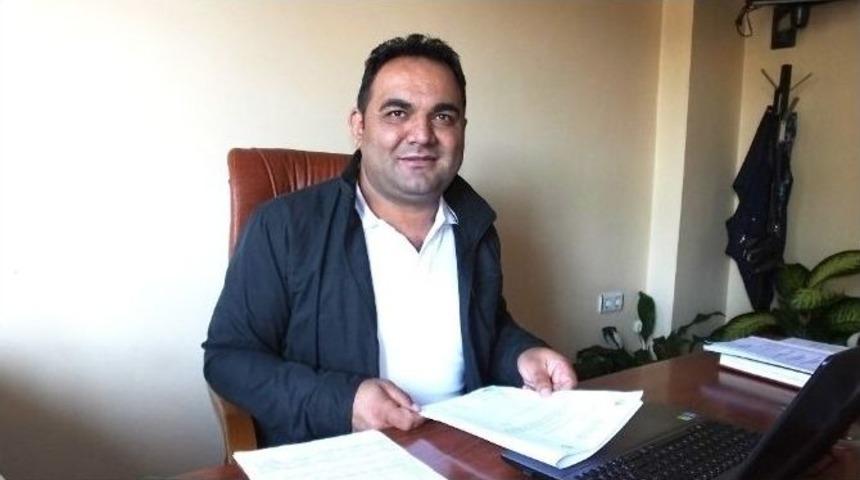 Burhaniye&rsquo;de Fıstık&ccedil;amı Kozalağı İhalesi