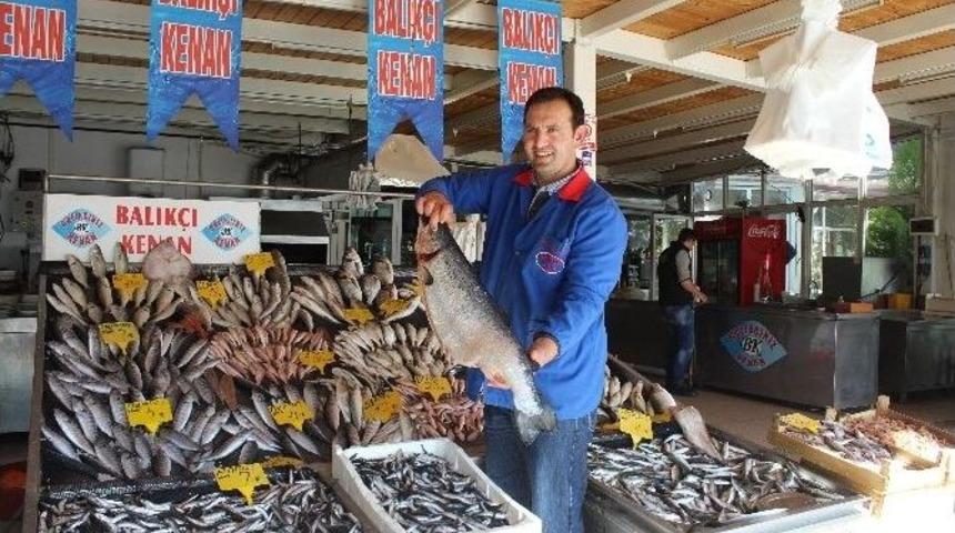 Havalar D&uuml;zeldi, Balık Fiyatları D&uuml;şt&uuml;