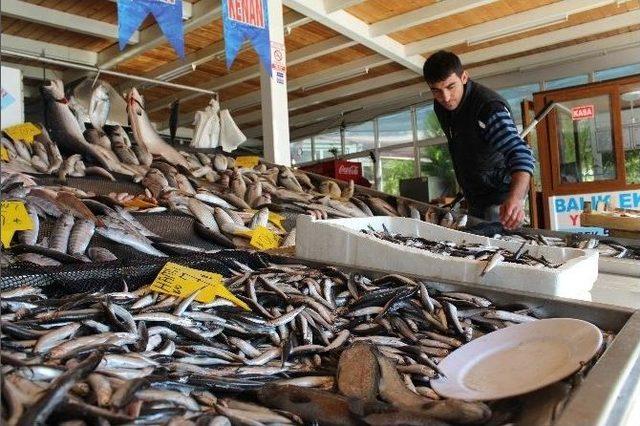 Havalar Düzeldi, Balık Fiyatları Düştü