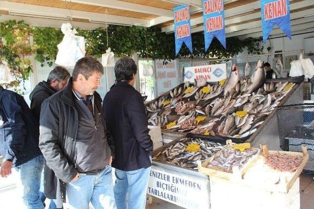 Havalar Düzeldi, Balık Fiyatları Düştü