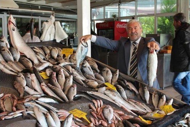 Havalar Düzeldi, Balık Fiyatları Düştü